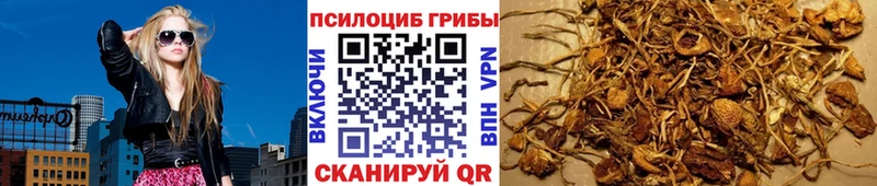 купить наркотики сайты  Зубцов  Галлюциногенные грибы мухоморы 